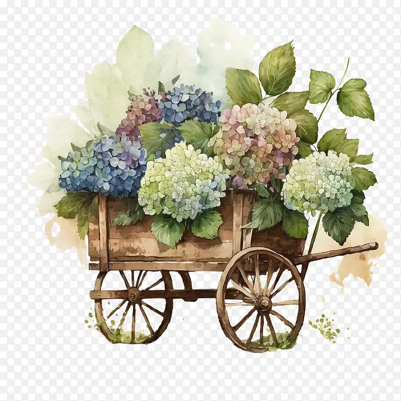 水彩绣球花-水彩绣球花花园车中的绣球花绣球花花园车