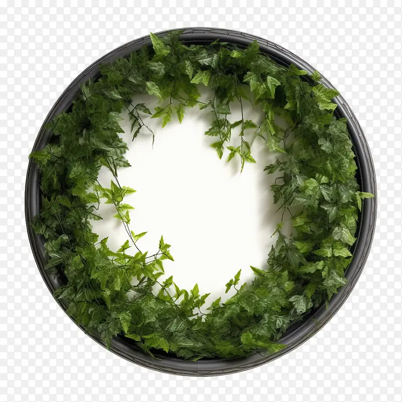 植物藤蔓花环-绿色框架