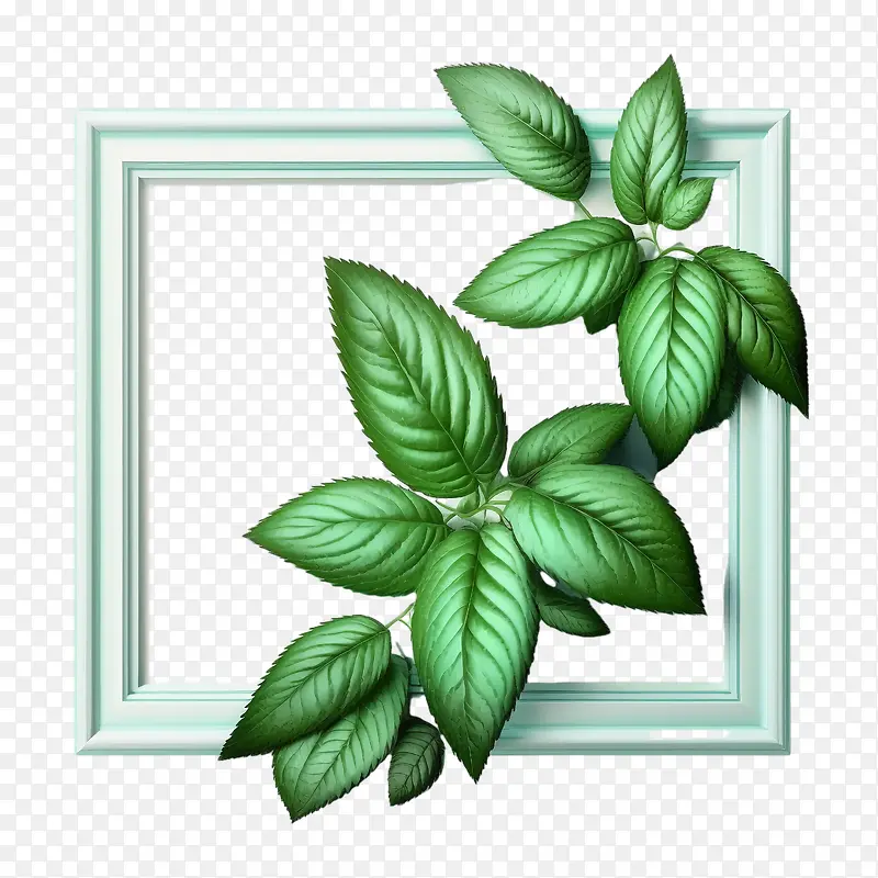 绿薄荷-有机框架