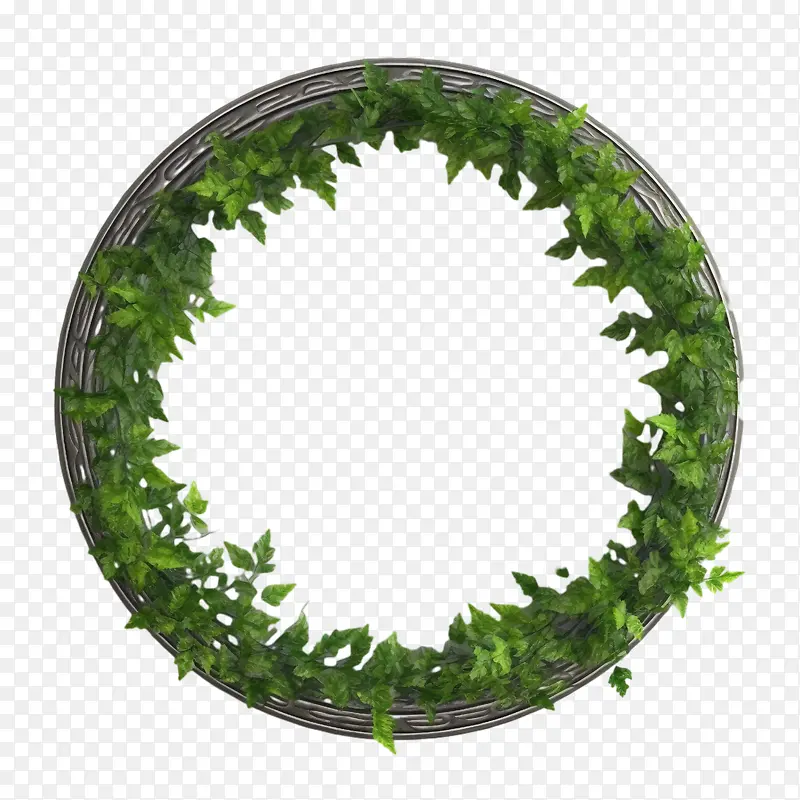 植物藤蔓花环-绿色框架