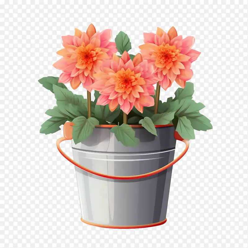 大丽花-大丽花平大丽花大丽花在篮子里