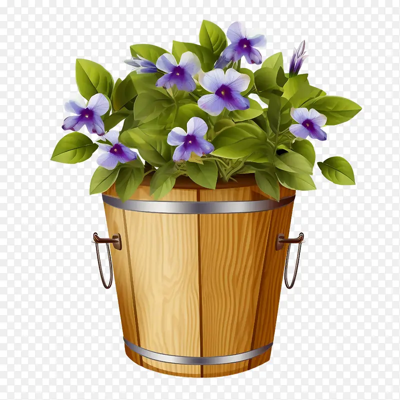 长春花-长春花长春花在桶中花园鲜花木桶