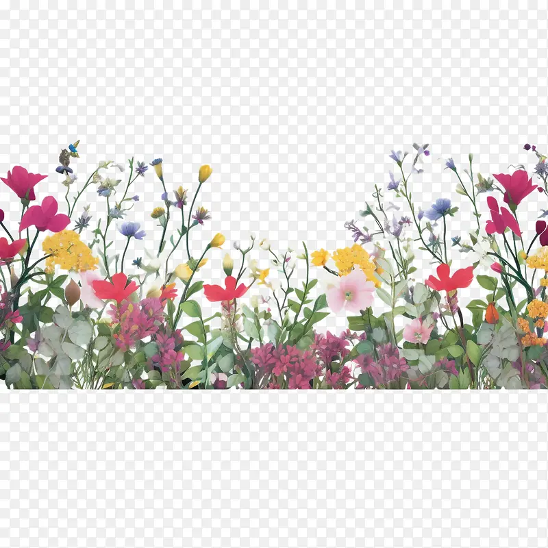 春天的花朵-花边框