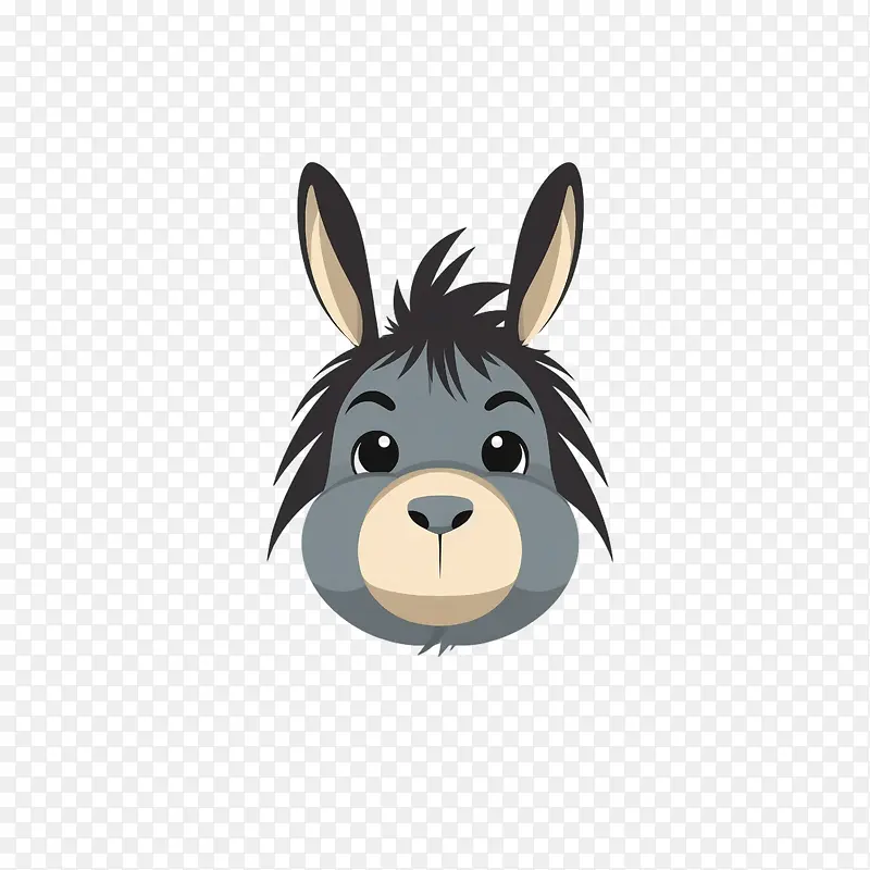 驴子——驴子
