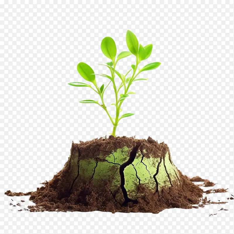 防治荒漠化-防治荒漠化防治干旱全球变暖干地开裂的地面