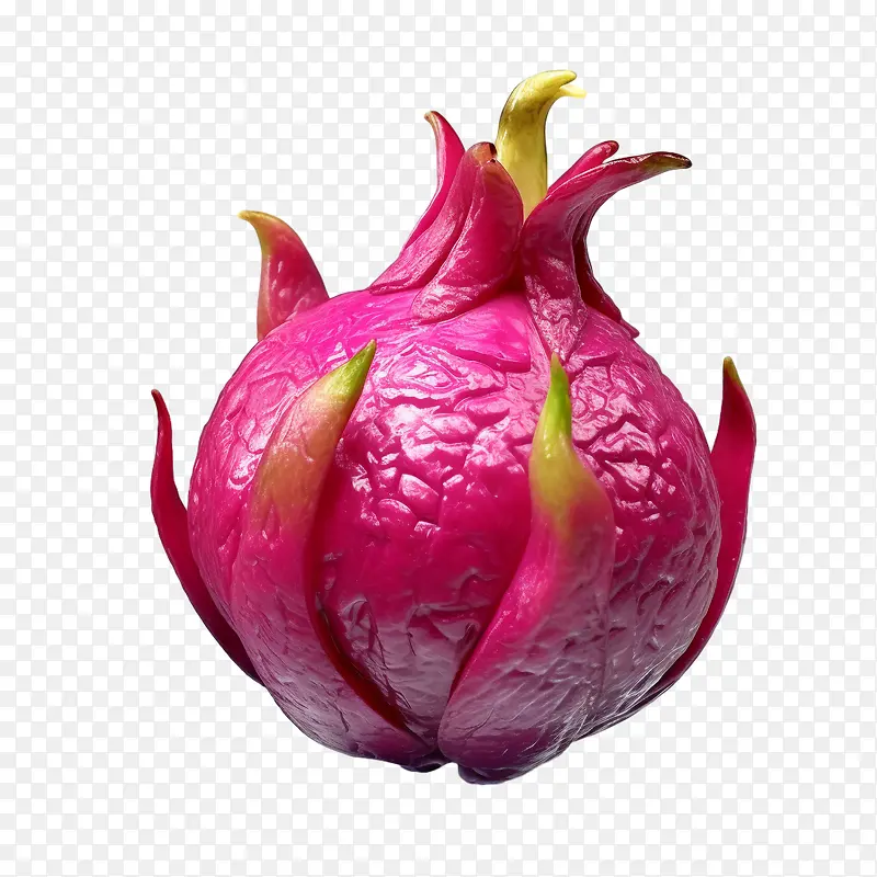 火龙果-火龙果3D火龙果粉红色水果花