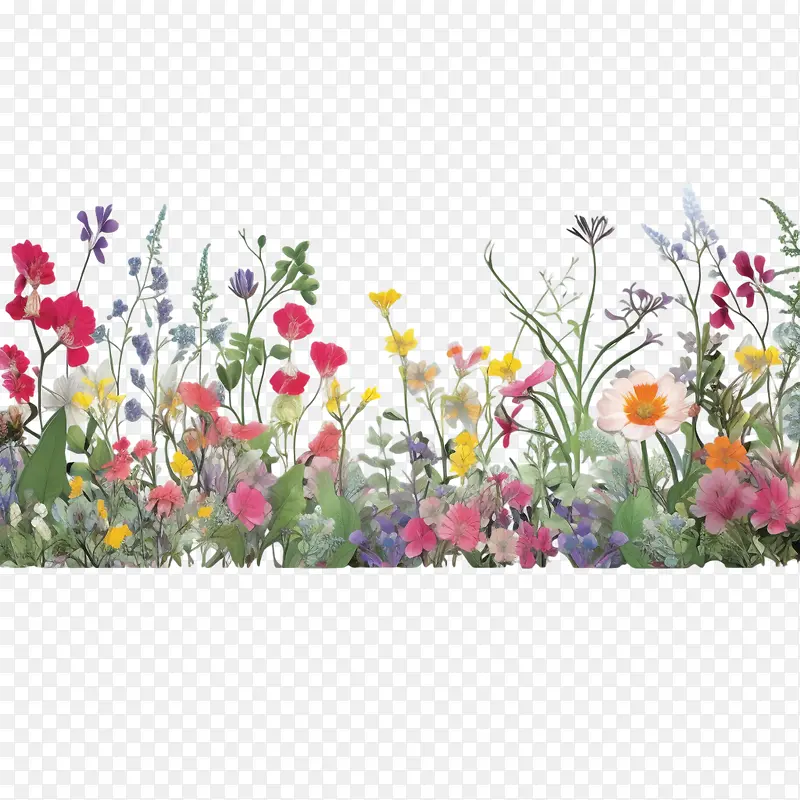 春天的花朵-花边框