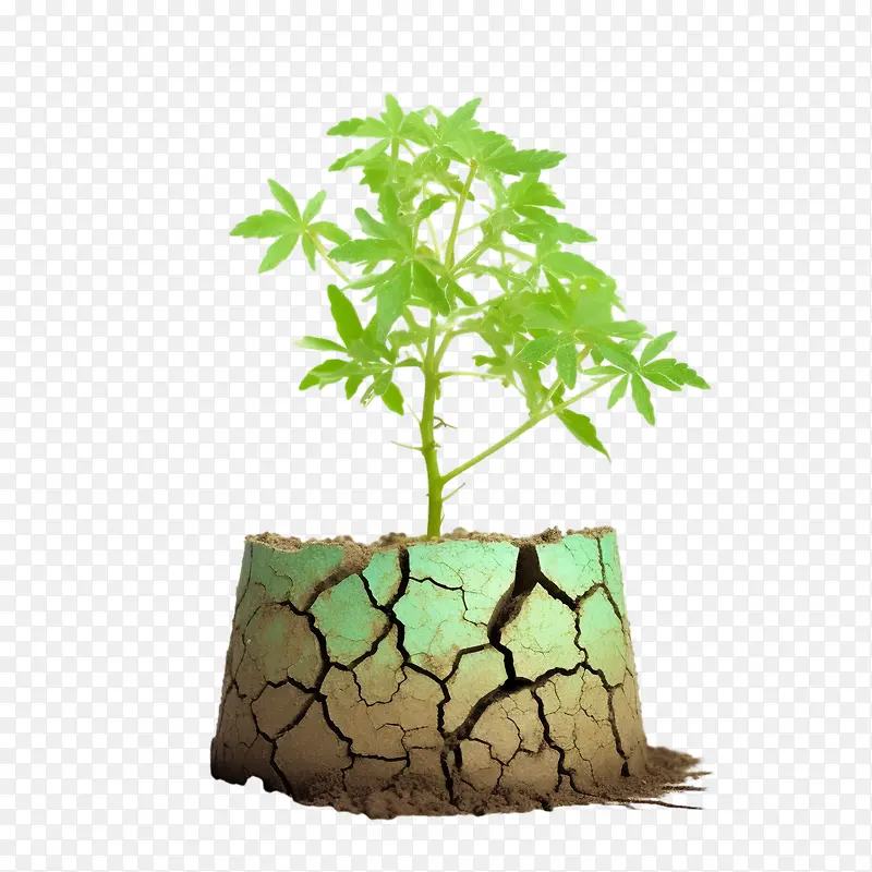 防治荒漠化-防治荒漠化防治干旱全球变暖干地开裂的地面