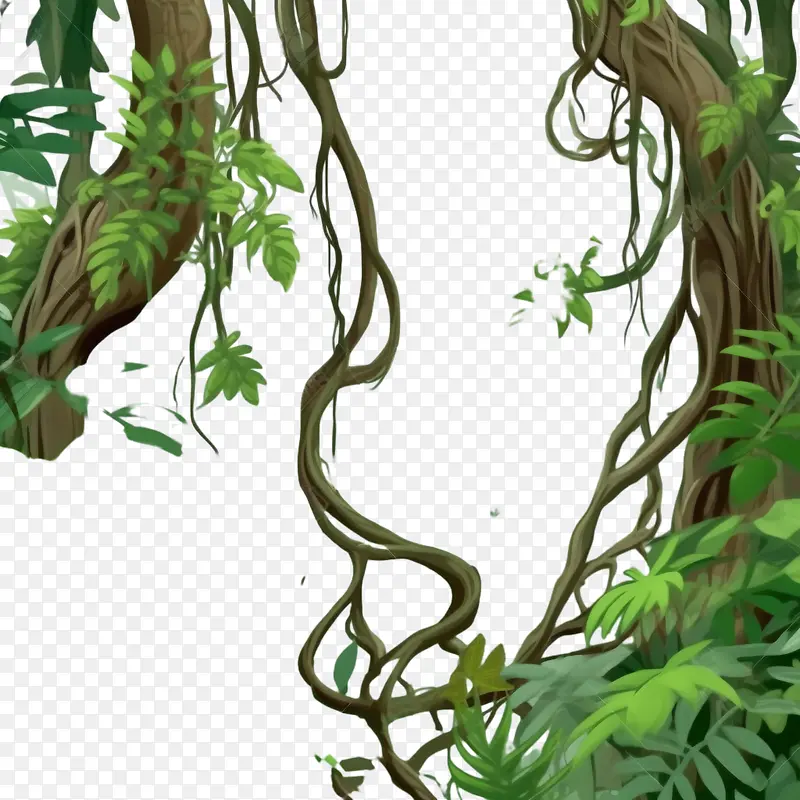 藤本植物茎边界-藤本植物茎边界雨林绿色藤蔓丛林藤蔓