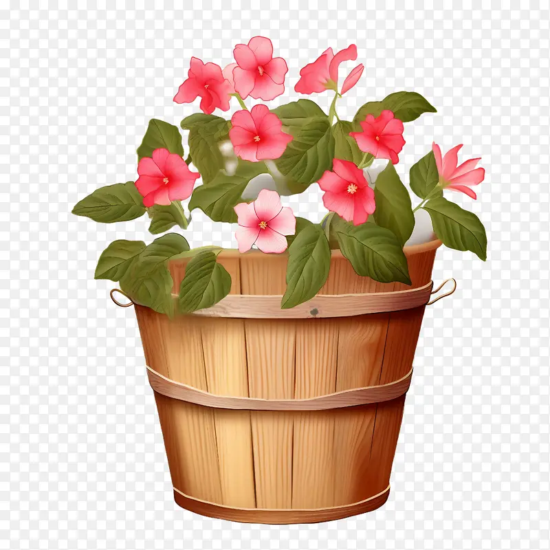 凤仙花-凤仙花木桶花粉色篮子