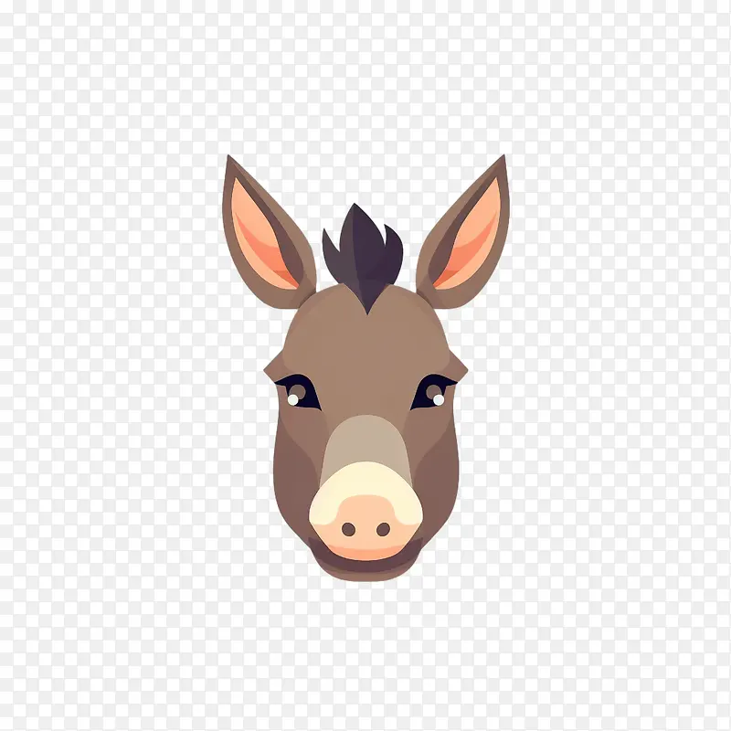 驴子——驴子