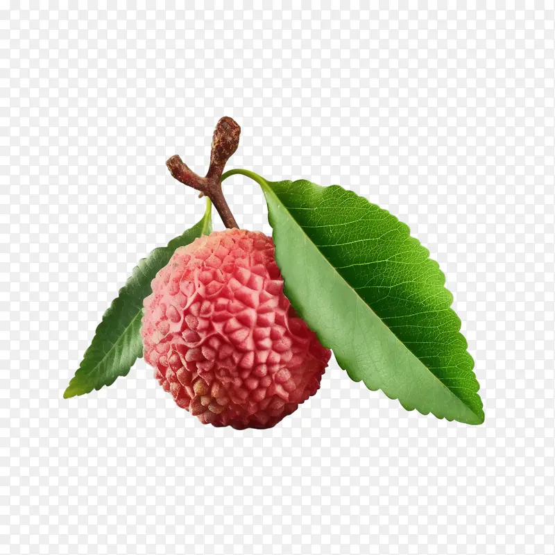 荔枝-荔枝荔枝果苹果果荔枝
