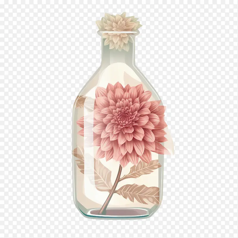 大丽花花-大丽花花粉红色花瓶玻璃