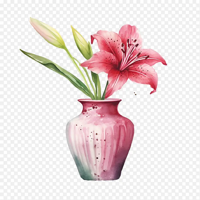百合花-百合花