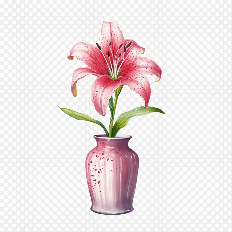 百合花-百合花