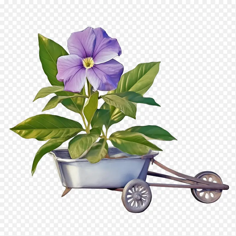 长春花-长春花盆栽独轮车紫色花朵绿叶