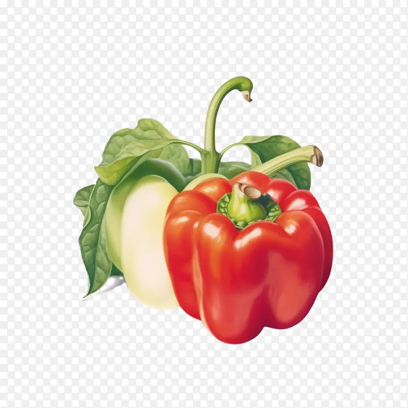 辣椒-辣椒,甜椒,红辣椒,青椒,蔬菜