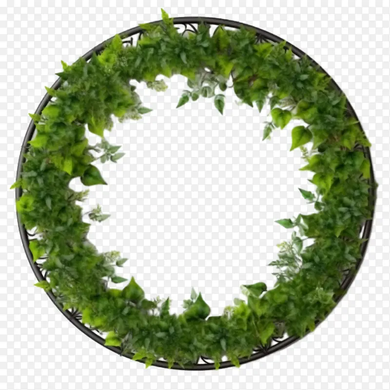 绿色爬行物框架-植物框架