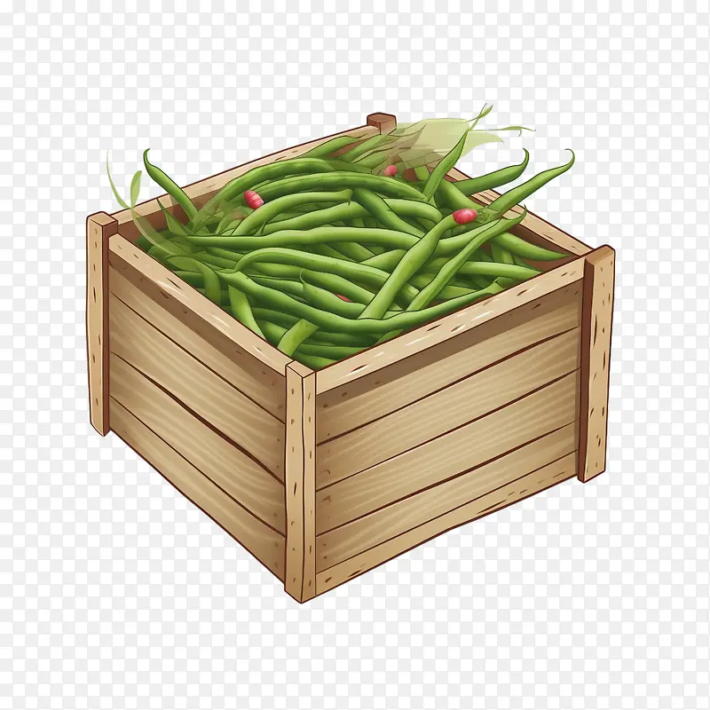 绿豆-绿豆蔬菜青豆盒子蔬菜