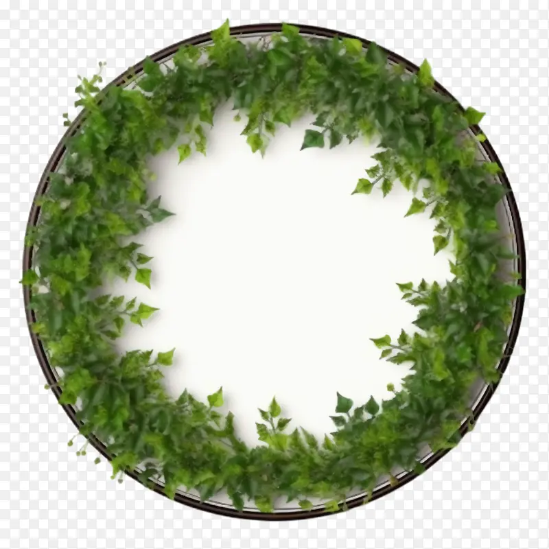 绿色爬行物框架-植物框架