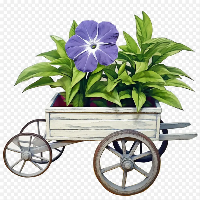 长春花-长春花花车花园户外
