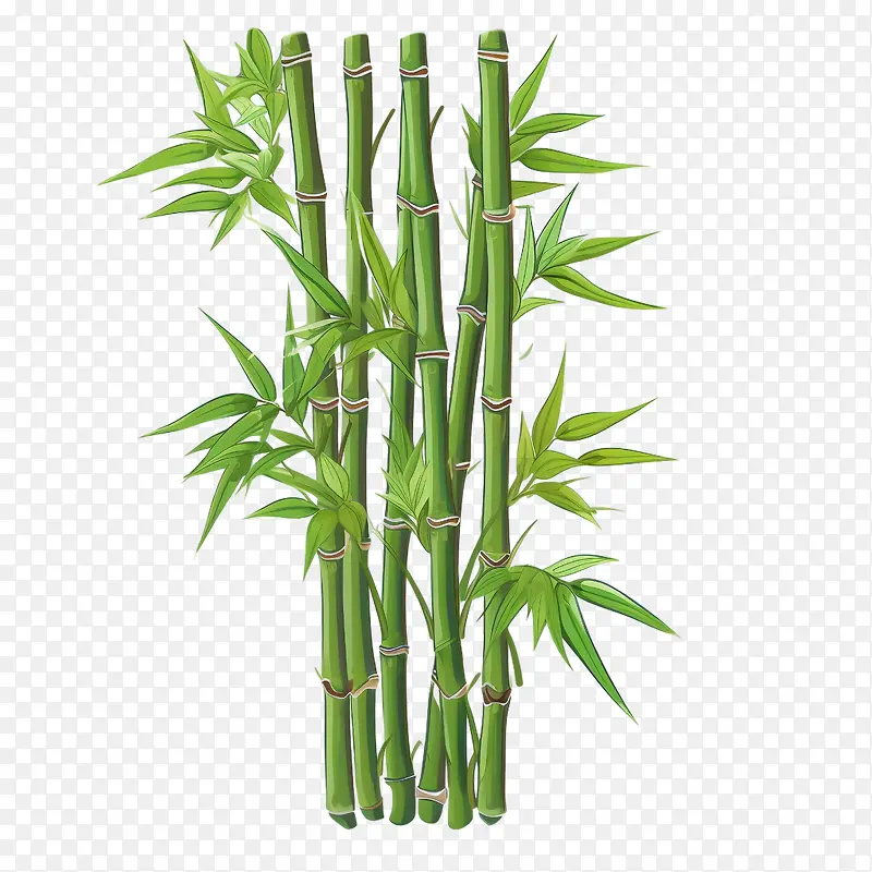竹子-竹子竹子高大的绿色茎