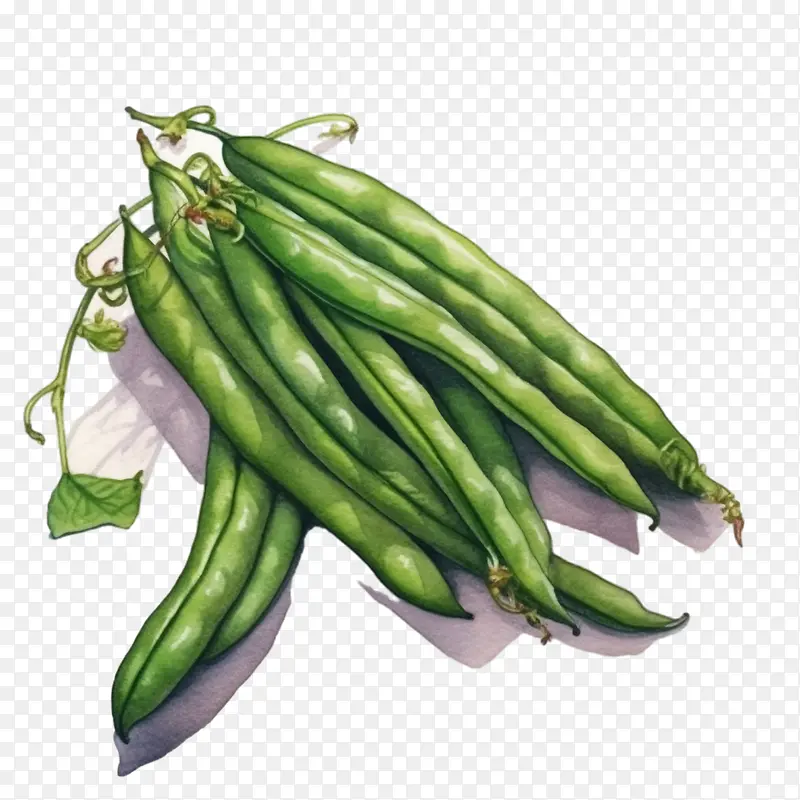绿豆-绿豆蔬菜豌豆绿色蔬菜