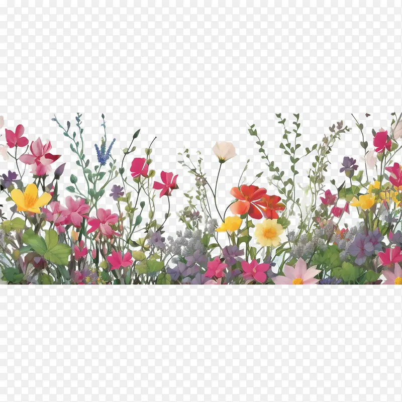 春天的花朵-春天的花朵