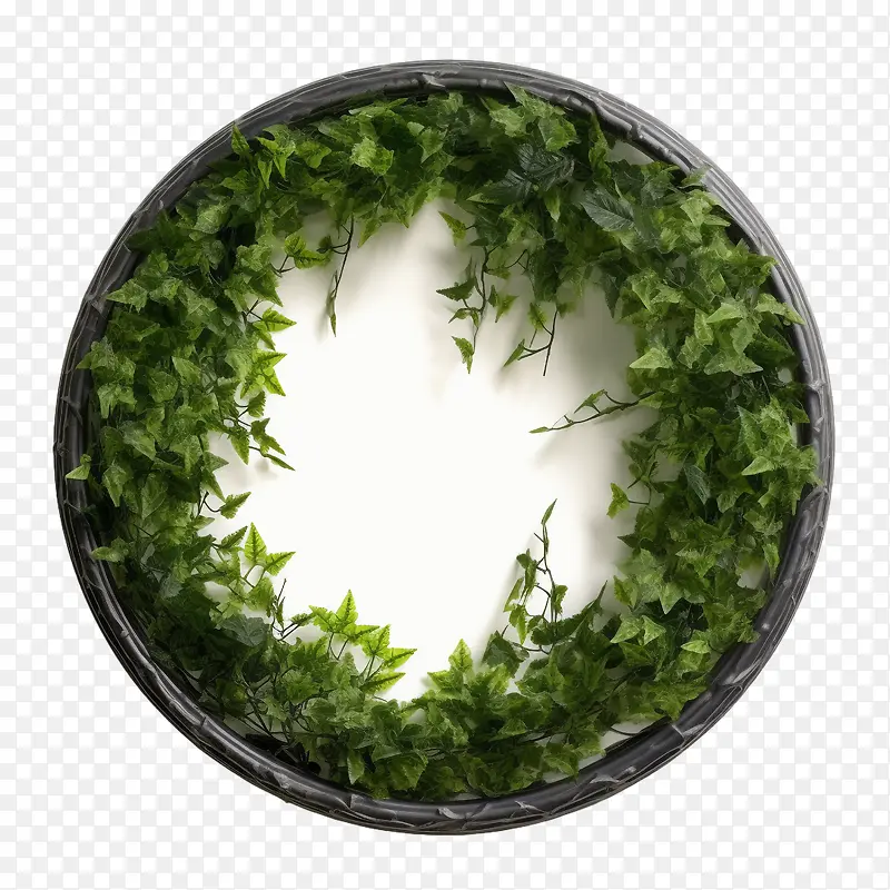 绿色爬行物框架-植物框架