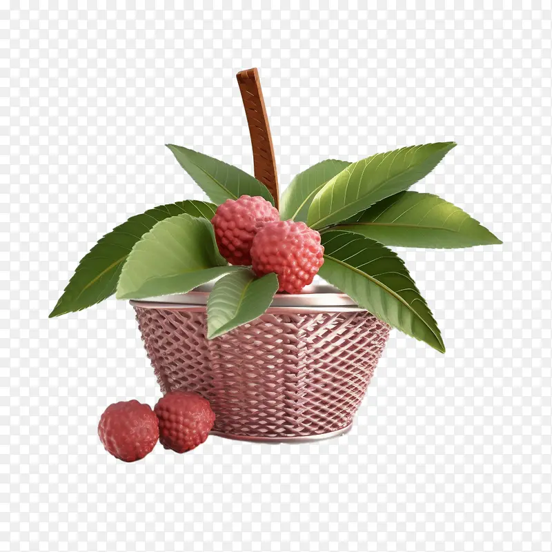 lychee-荔枝覆盆子果篮红