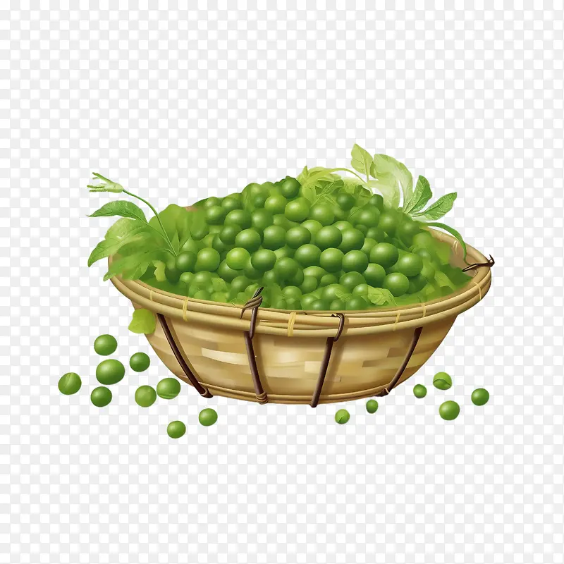 绿豌豆-绿豌豆豌豆篮花园绿色