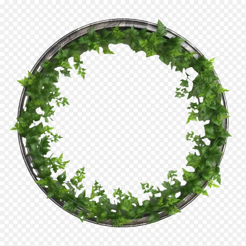 绿色爬行物框架-植物框架