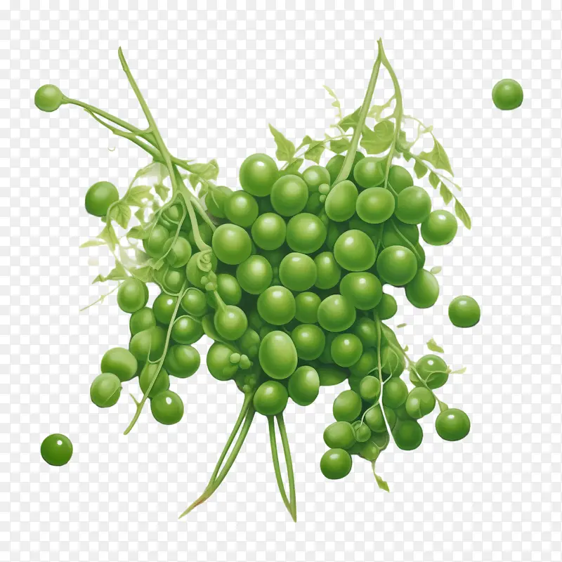 绿豌豆-健康食品