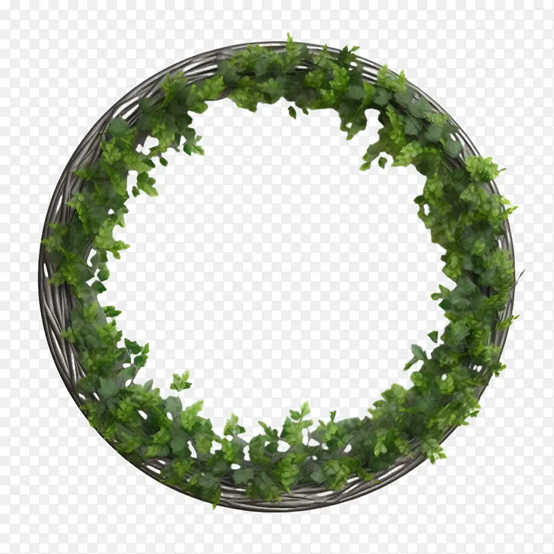 绿色爬行物框架-植物框架