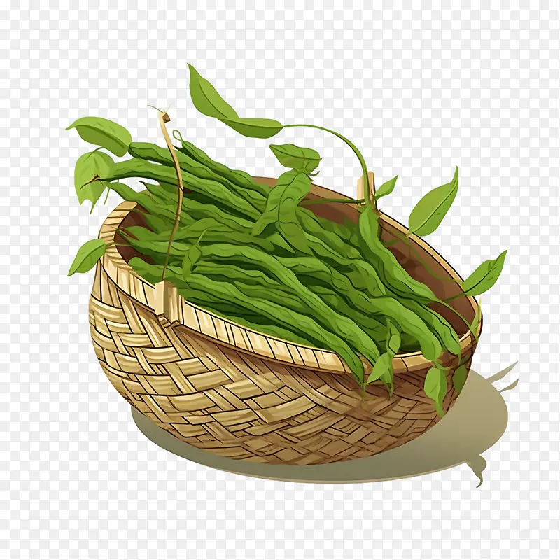 绿豆-绿豆蔬菜豆类绿色蔬菜