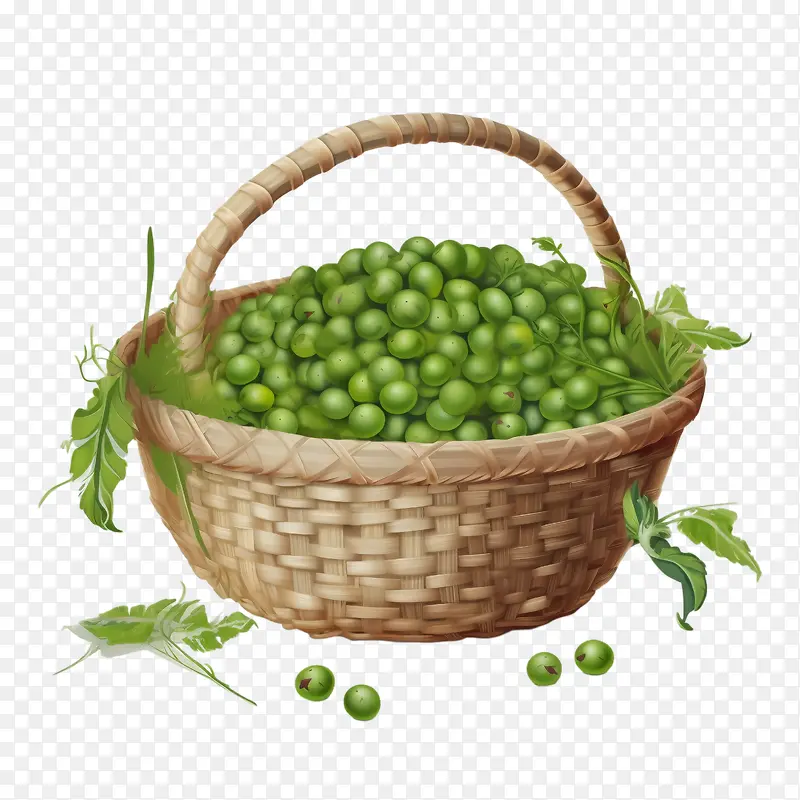 绿豌豆-健康食品
