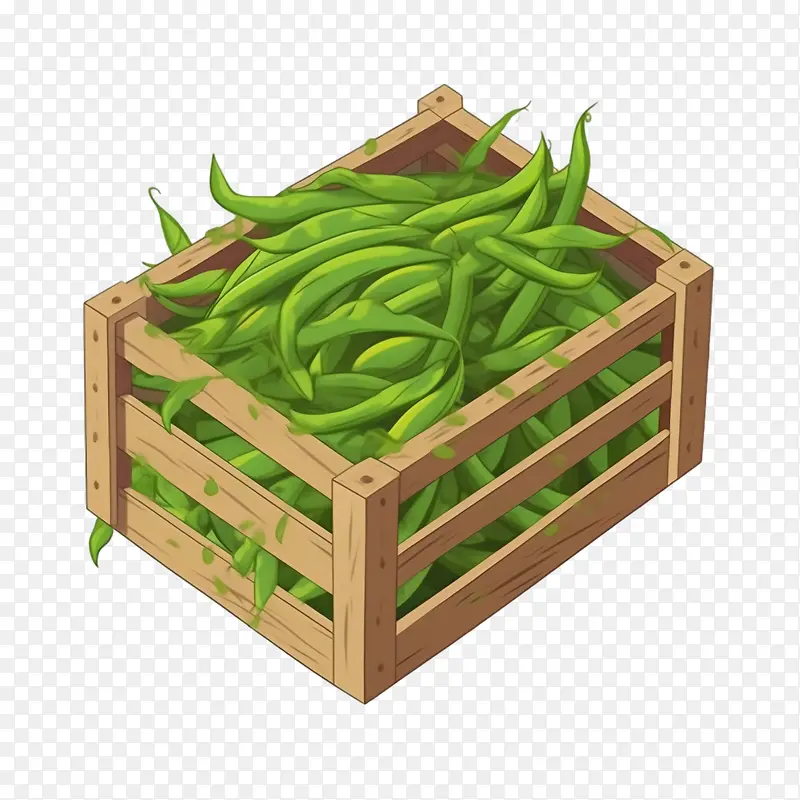 绿豆——健康食品