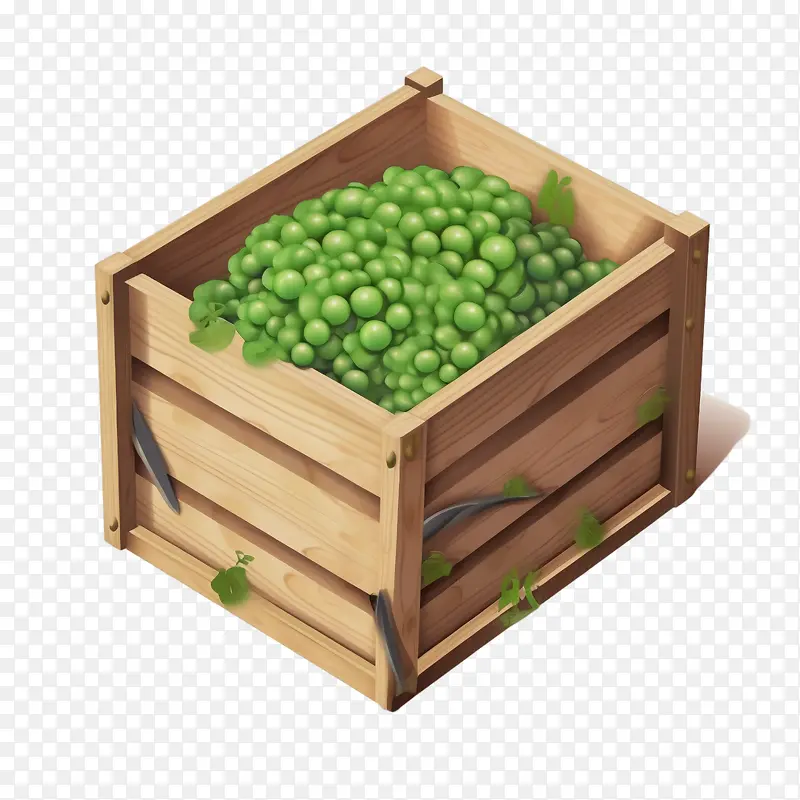 绿豌豆-绿豌豆豌豆木箱花园农业