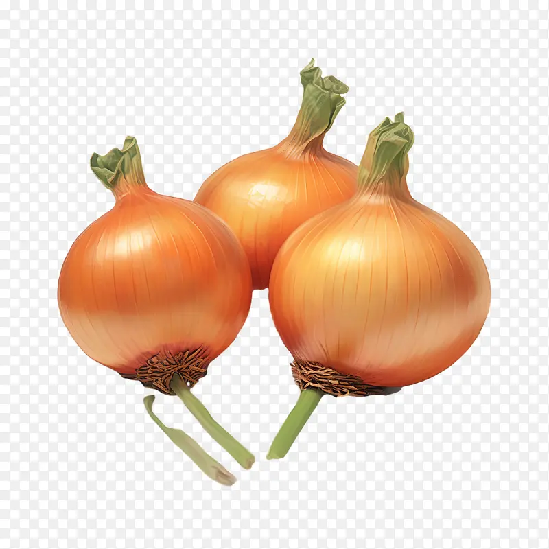 洋葱-洋葱洋葱水果蔬菜食品