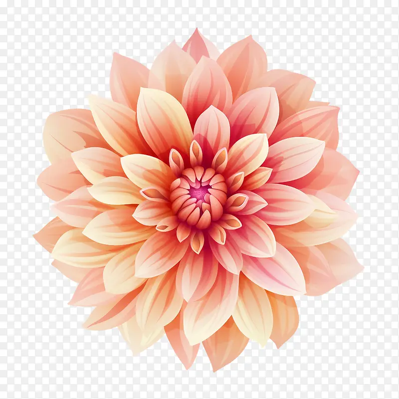 大丽花花-橙色
