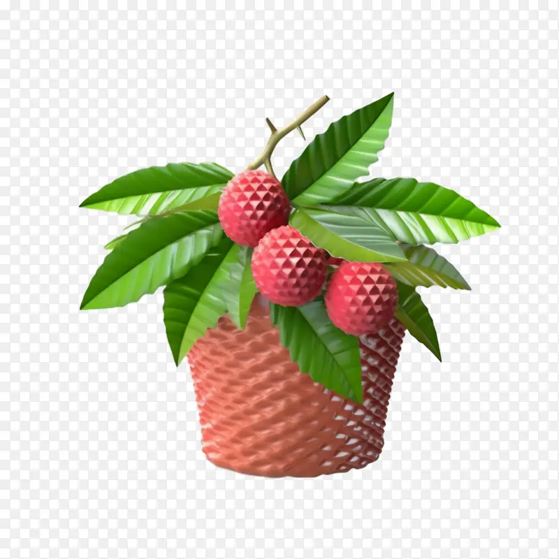 荔枝-荔枝果盆篮植物