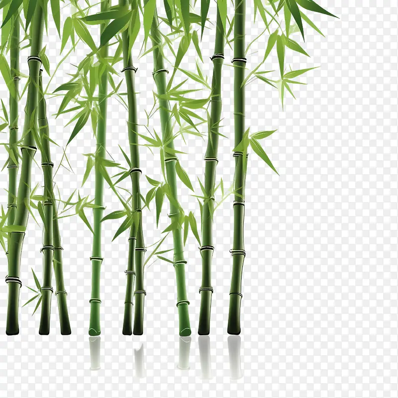 竹子-竹子竹子绿色高茎