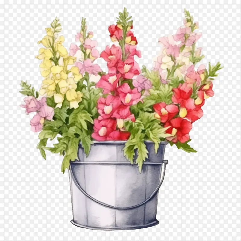 金鱼草花-金鱼草花水彩花卉盆栽花束