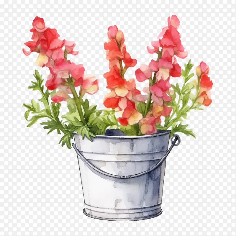 金鱼草花-金鱼草花粉红色的花朵水彩花桶花瓶