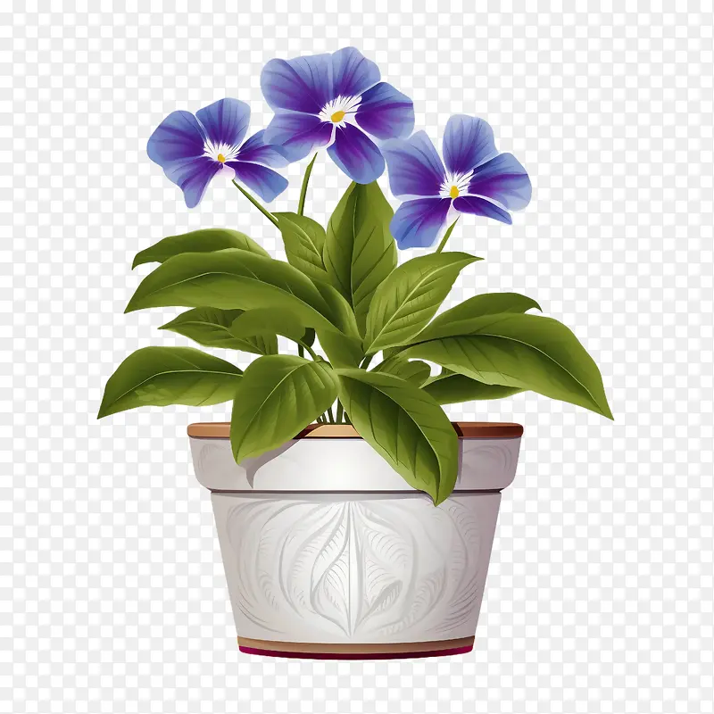 长春花-长春花盆栽紫罗兰花开花植物盆栽土