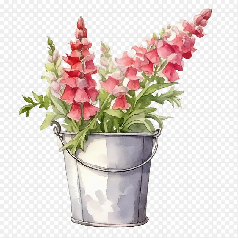 金鱼草花-金鱼草花粉红色的花朵水彩画桶花瓶