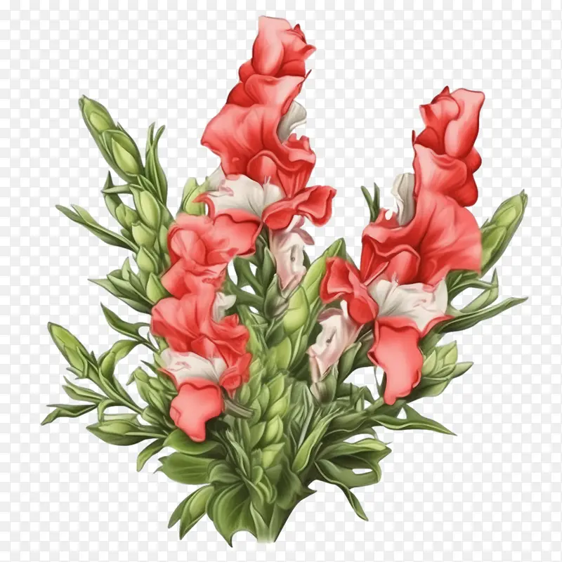 金鱼草花-插花