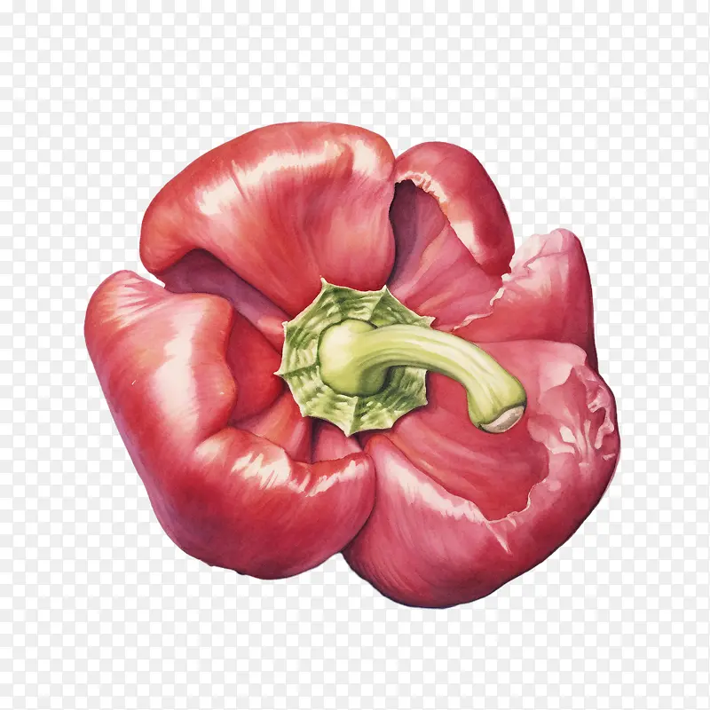 红灯笼椒-红灯笼椒胡椒胡椒红色水果