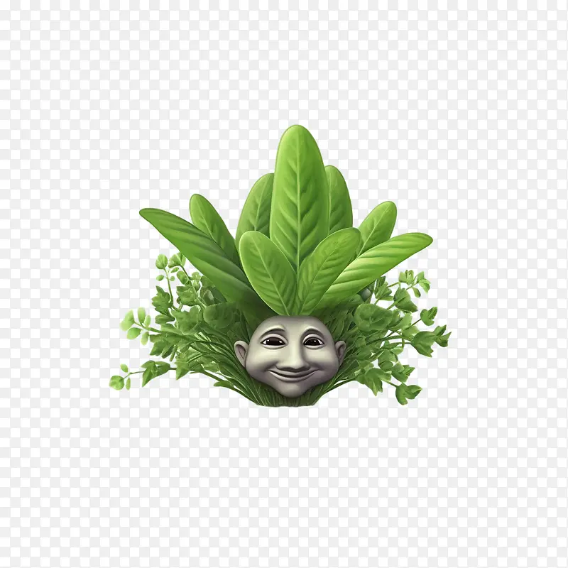 草本-草本蔬菜肖像绿色笑脸绿叶头植物头