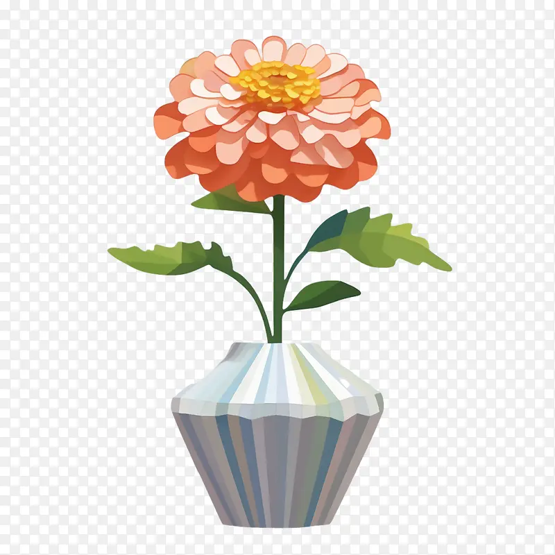 百日草花-百日草花